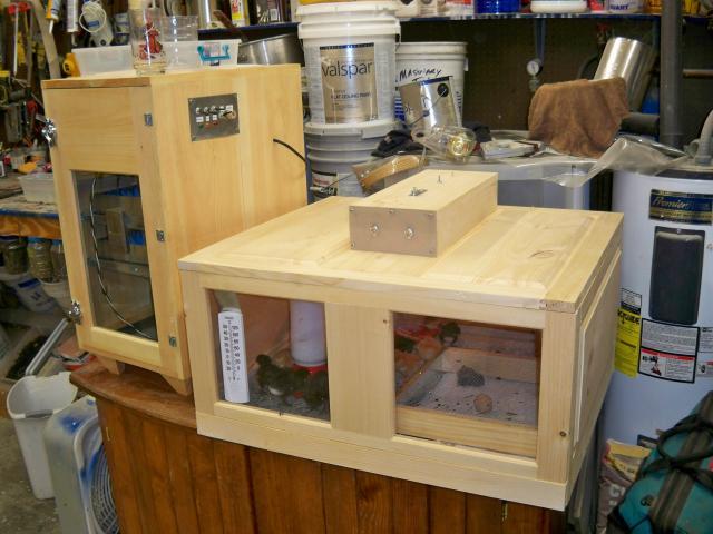 41326_brooder_box.jpg
