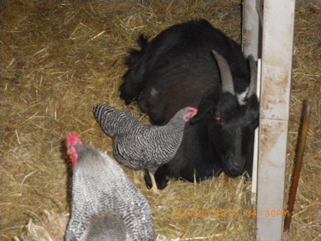 4132_family_485.jpg
