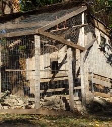 41347_byc_chicken_coop.jpg