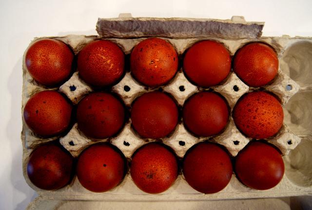 41441_wheaten_eggs.jpg
