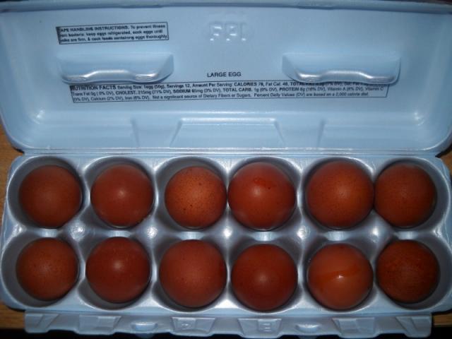 41488_marans_eggs_800x600.jpg