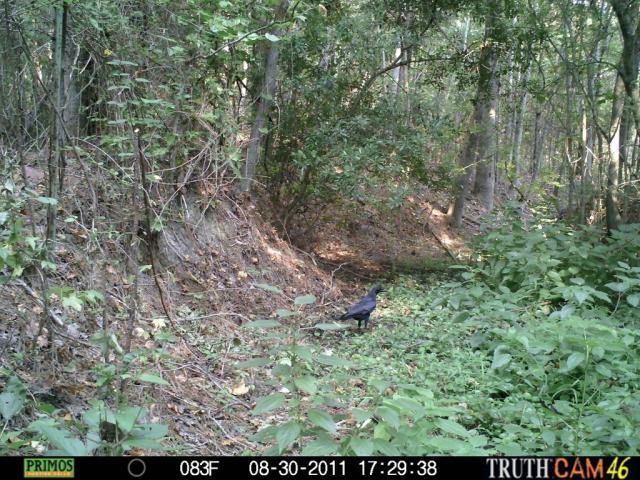 41488_prms0038_1024x768_1024x768.jpg