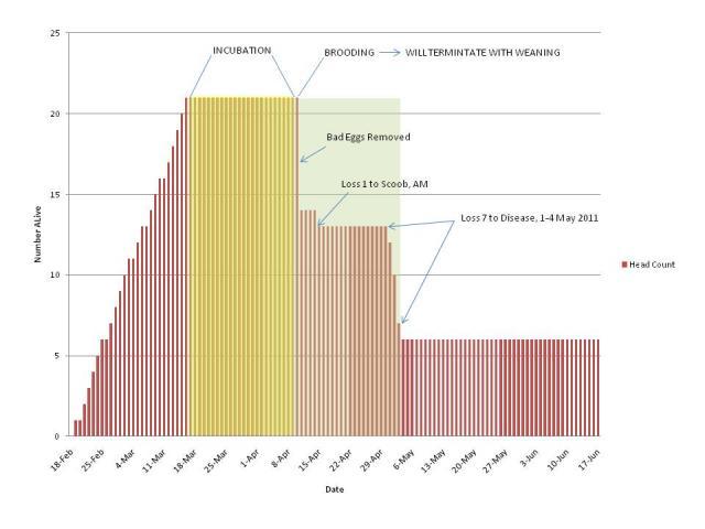 41527_presentation3.jpg