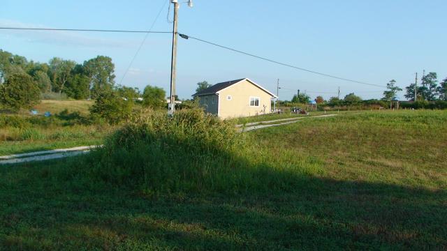 41527_sallies_clutch_brood_3_tussock_with_house_in_background_2011_august_23.jpg