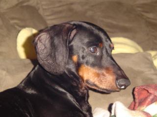 41543_christmas_2007_19.jpg