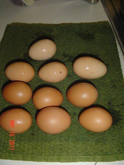 41543_dsc00006.jpg