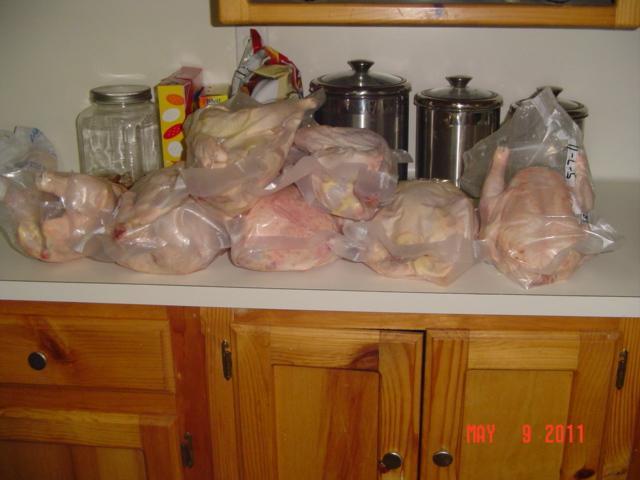 41543_dsc00095.jpg