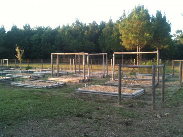 41543_garden.jpg