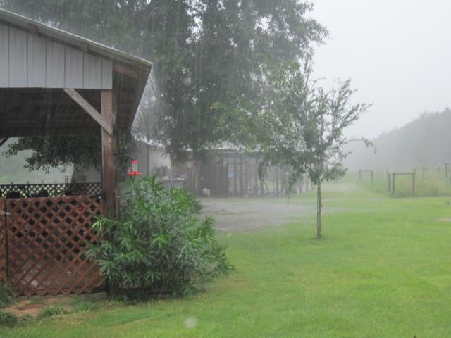 41543_jul_31_2011.jpg