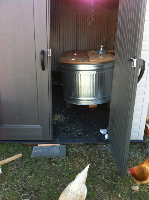 41679_brooderinsheddooropen.jpg