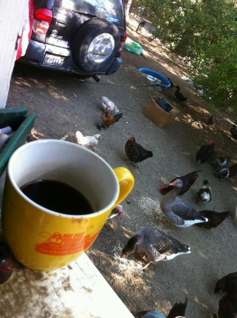 41679_bycmugattreattime.jpg