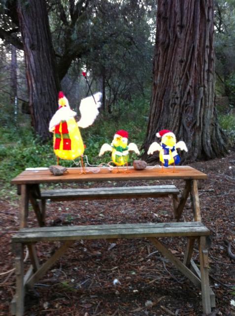 41679_carolingchickenfamily.jpg