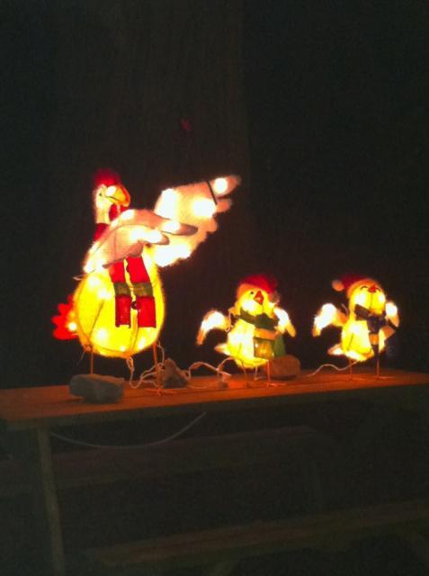 41679_carolingchickenfamilydark.jpg