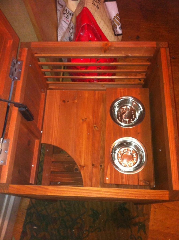 41679_catfeedingstationinside.jpg