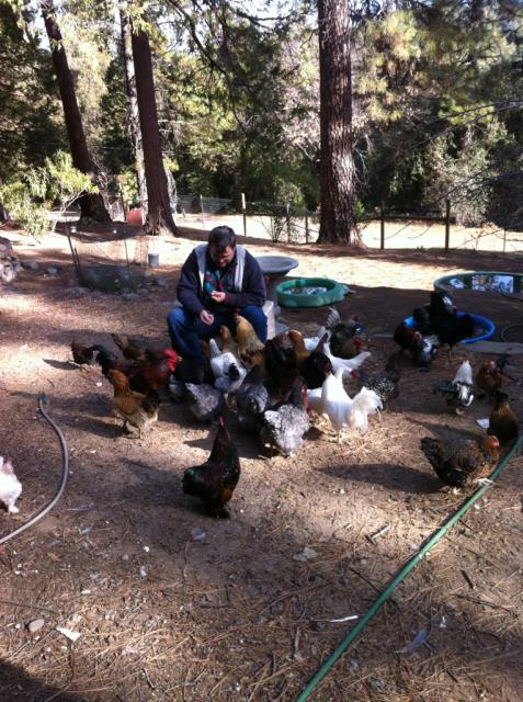 41679_chickenwhisperer.jpg