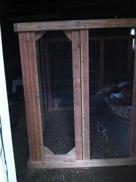 41679_chickpendone.jpg