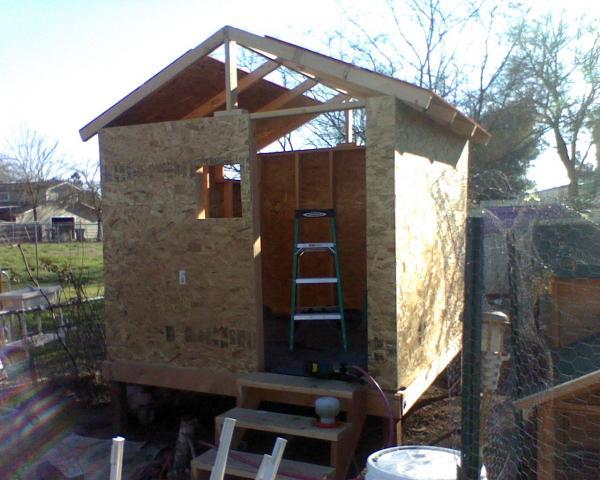 41679_coop-fullview.jpeg