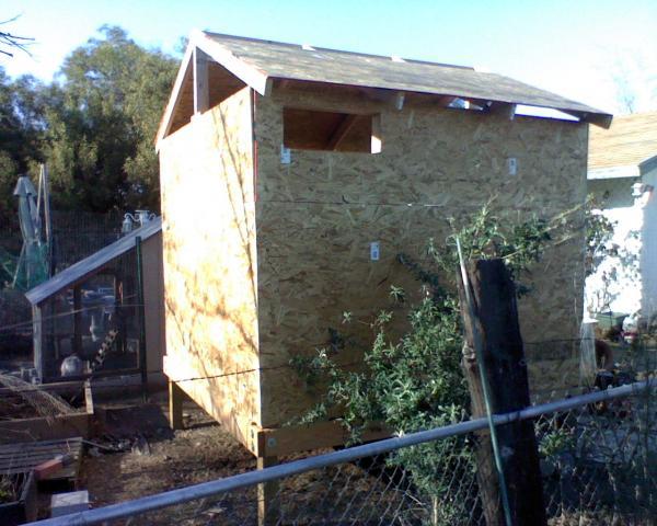 41679_coop-sideview.jpeg