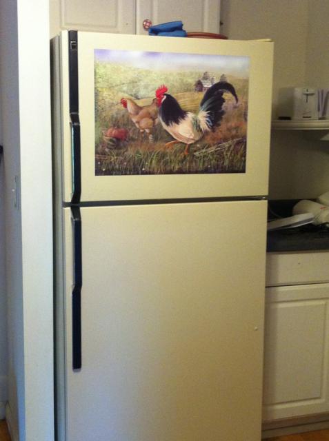 41679_fridge.jpg
