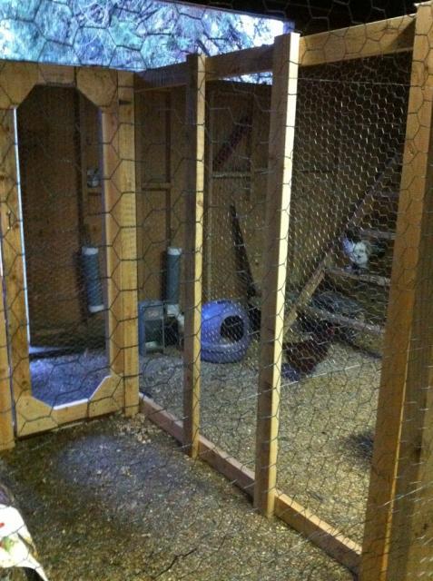 41679_frominsidechickpen.jpg