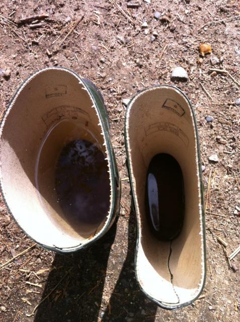 41679_fullboots.jpg