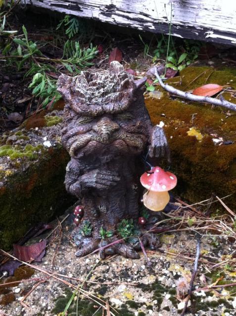 41679_grumpystump.jpg