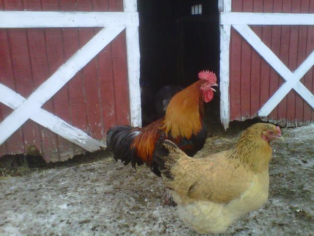 41679_heatherb.jpg