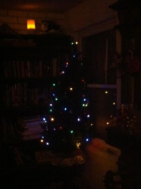 41679_holidaytreedark.jpg