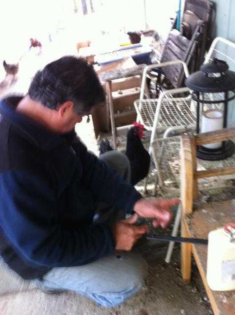 41679_johnrepairingbenchmolly.jpg