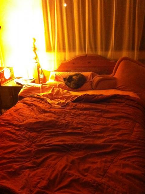 41679_lizbethasleep.jpg