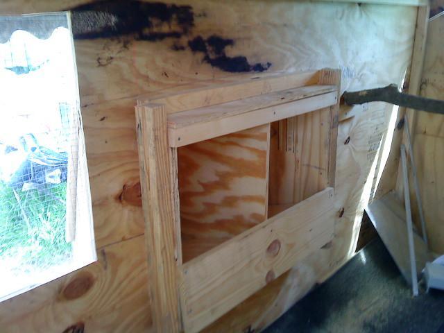 41679_nestbox_inside_coop.jpg