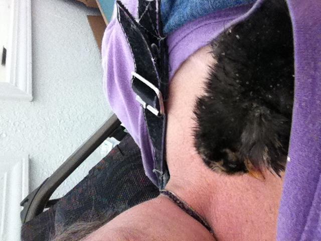 41679_nestledweakchick.jpg