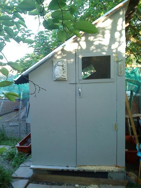 41679_newcooppainted1.jpg