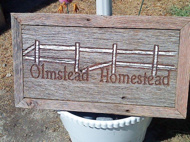 41679_olmsteadhomestead.jpg