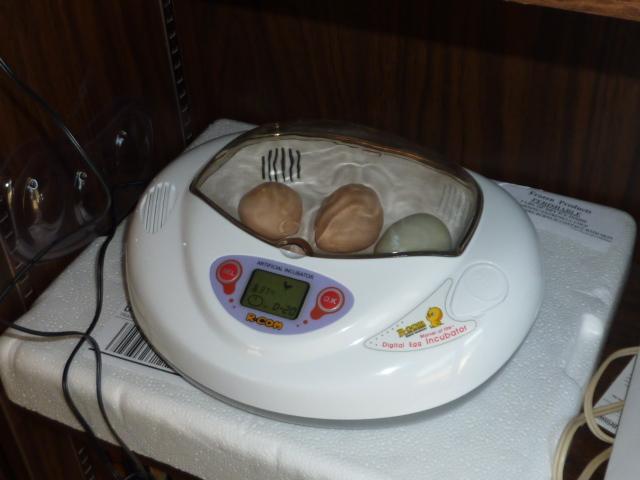 41679_r-comincubator.jpg