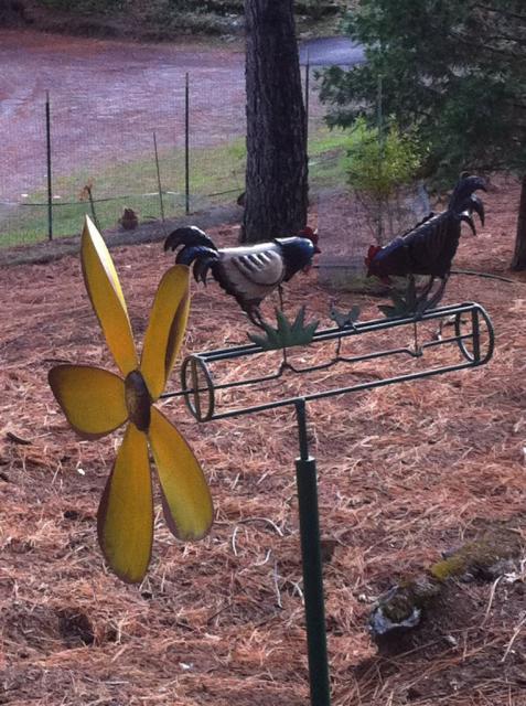 41679_roosterwhirligig.jpg