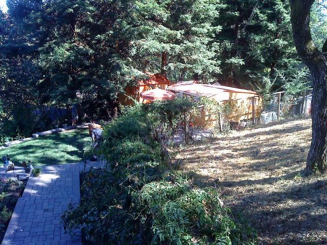 41679_viewtocoop.jpg