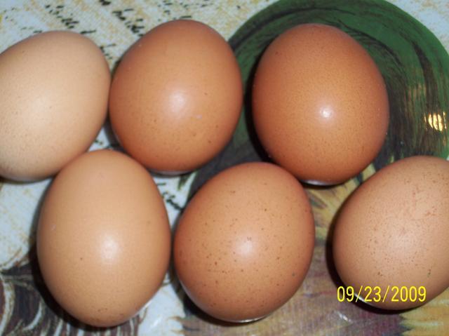 41714_red_star_or_comet_eggs.jpg