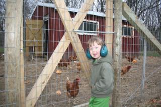 41785_cj_watching_chickens.jpg