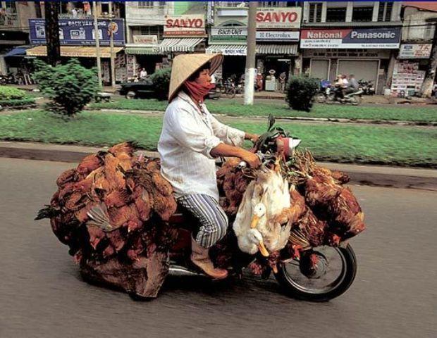 41865_chicken_express.jpg