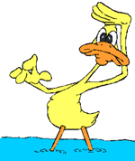 41950_ducklook.gif