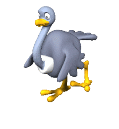 41950_running_ostrich_1.gif