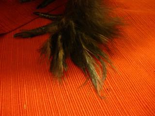 41973_dsc00743.jpg