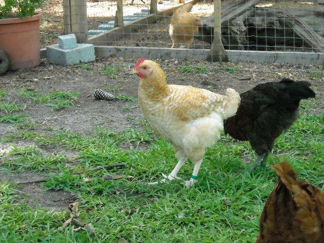 42000_dscn1553.jpg