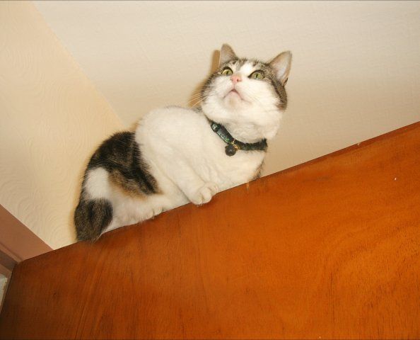 4204_01010037.jpg