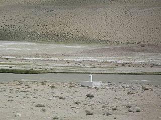42145_country_boundry_between_afgh_and_tajikistan.jpg