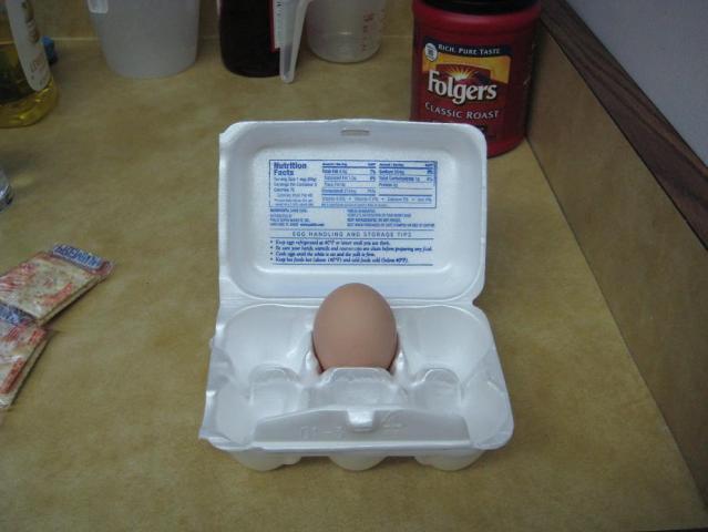 42152_chicken_egg.jpg