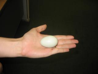 42438_picture_016.jpg