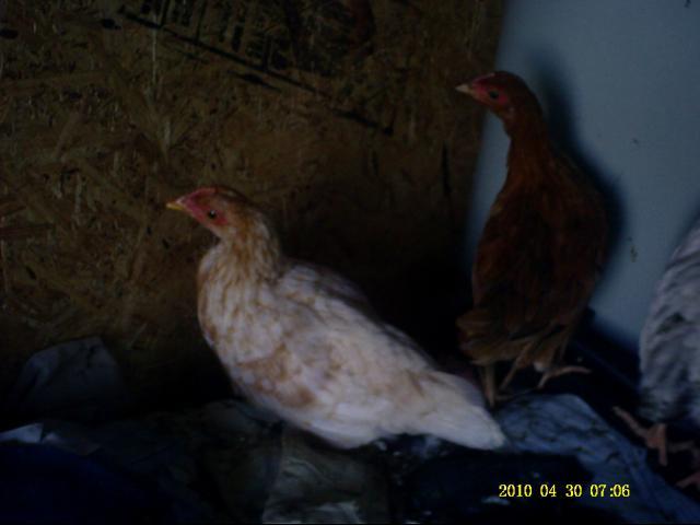 42512_024.jpg