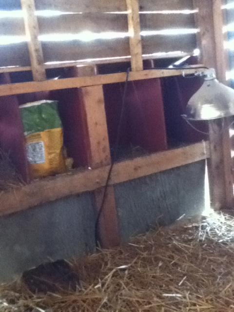 42605_dannys_ipod_096.jpg